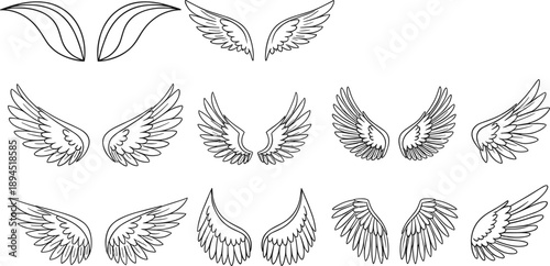 Angel wing line art illustration set with feathered bird wings outline designs for tattoo fantasy and spiritual artwork