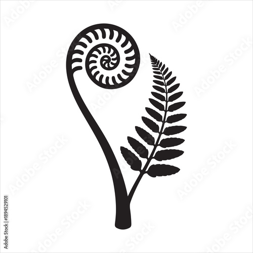 A fern leaf swirl silhouette, Vector fern spiral line art silhouette, Fern leaf spiral silhouette vector art
