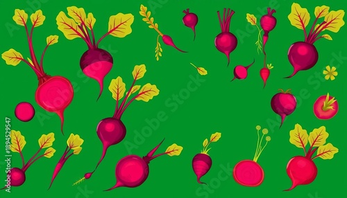 Vibrant beetroot vector illustrations, various shapes & styles, earthy tones,  nature,  sketch