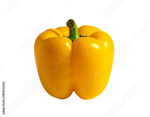 Bright yellow bell pepper with vibrant green stem against black
