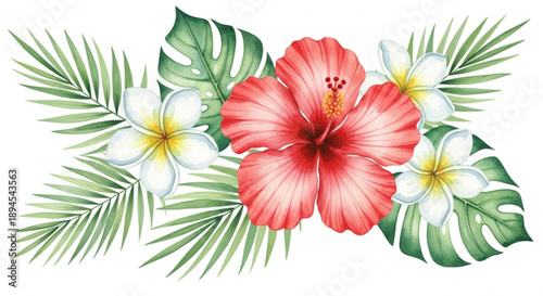 Vibrant pink hibiscus flowers with white plumeria and lush green tropical leaves on white background