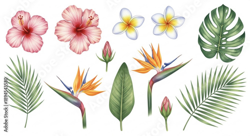 Tropical floral arrangement with exotic flowers and leaves on white background including hibiscus bird of paradise plumeria and palm fronds for decoration and design