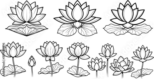 Lotus flower line art illustration set with blooming water lilies botanical outlines and decorative floral drawing elements