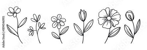Simple hand drawn floral line art set featuring charming botanical sketches and blooming flowers perfect for spring and summer greeting cards, wedding invitations, and home decor projects