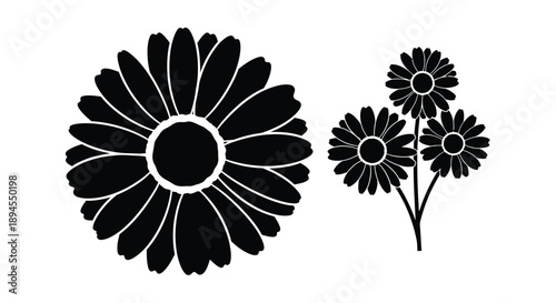 Black and white illustration of three daisy flowers with stems and petals