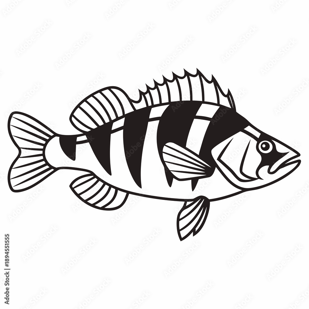 Fototapeta premium Black and white fish illustration