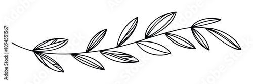 A graceful botanical leaf branch drawing providing a versatile decorative graphic for organic natural designs, wedding invitations, or eco friendly branding projects.