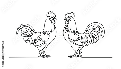One continuous line illustration of two chicken, isolated on white background.