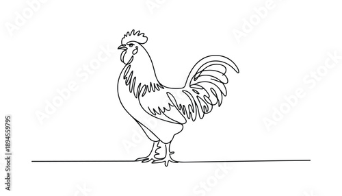 One continuous line illustration of an chicken, isolated on white background.