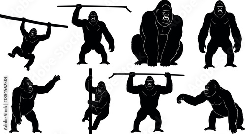 Set of eight black gorilla vector silhouettes displaying various poses like climbing walking and holding sticks isolated on white background.