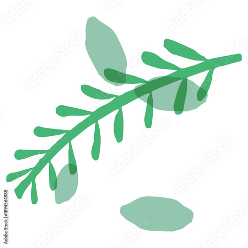 ミモザの透け感ボタニカル｜ミモザの葉のあしらい / Mimosa Leaf Translucent Botanical Design