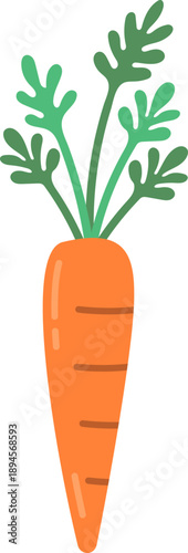 Fresh Carrot Vegetable with Green Leaves