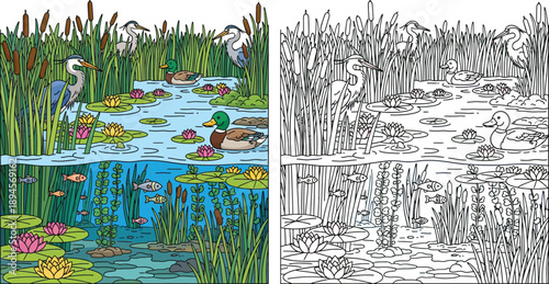 Detailed Pond Ecosystem with Heron Ducks Fish and Water Plants Nature Coloring Page
