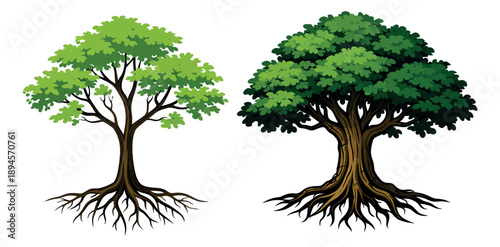 Illustrated tree set featuring two distinct green trees with detailed roots for nature and environmental projects