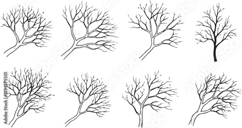 Collection of eight unique bare tree silhouettes Vector