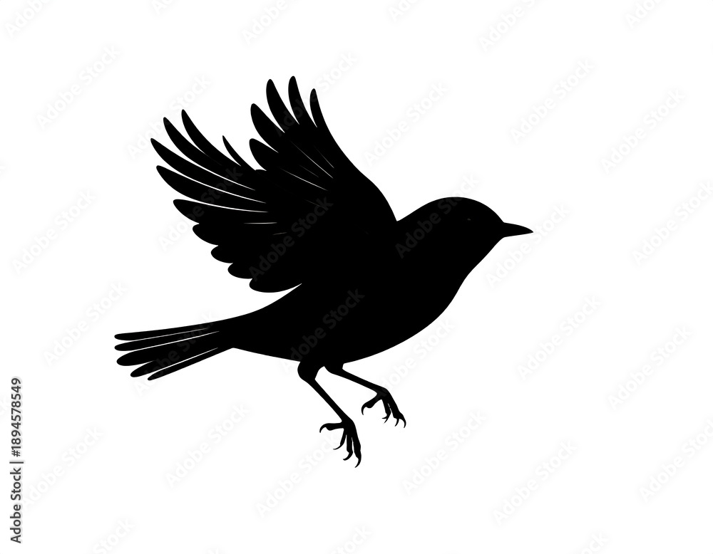 Obraz premium Black silhouette of a small bird in mid-flight with wings spread