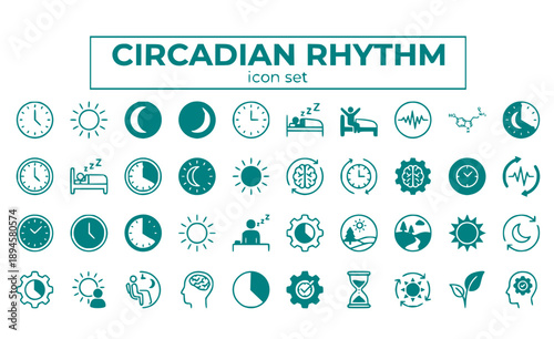 Circadian Rhythm Biological Clock 24-Hour Cycle Sun Moon Sleep Wake Day Night Body Natural Pattern Timing Vector Icon Set - Body Clock