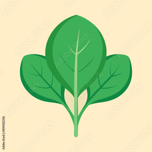 Illustration of three spinach leaves against a pale yellow background creating a cheerful vibe