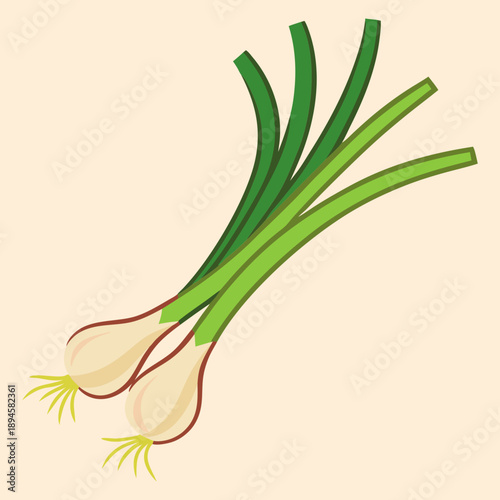 Two bunches of scallions with a tan background simple illustration style