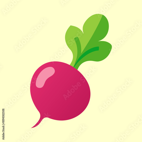 Stylized Flat Radish with Leaves on a Cream Background Illustration