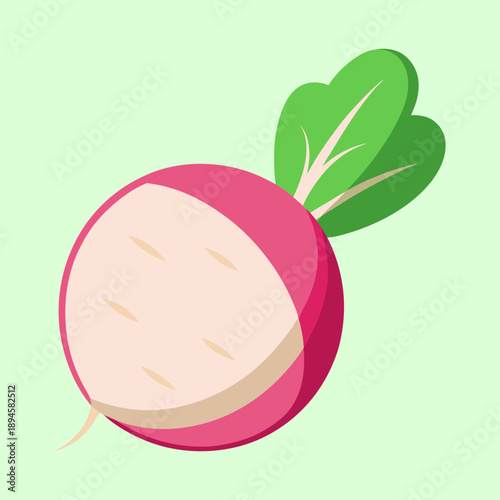 Stylized vector illustration of a fresh, vibrant radish with green leaves