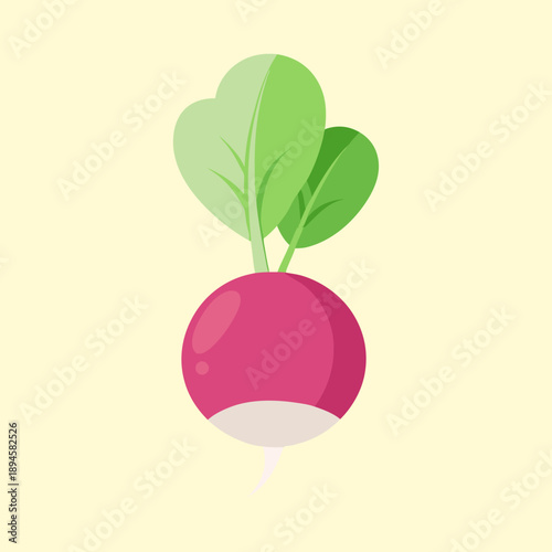 A delightful radish illustration showcasing its vibrant colors and minimalist style