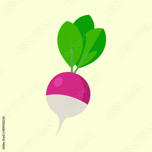 Minimalist illustration of a fresh radish with green leaves on light background