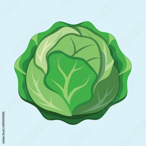 A cartoon illustration of a healthy, vibrant green cabbage on light blue