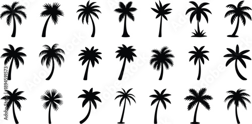 Collection of various tropical palm tree silhouettes isolated