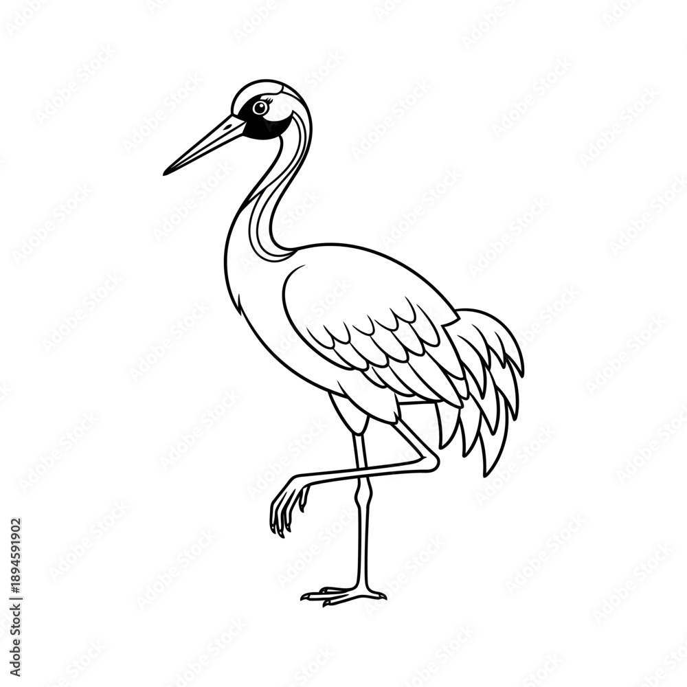 Fototapeta premium Black and White Crane Bird Illustration.