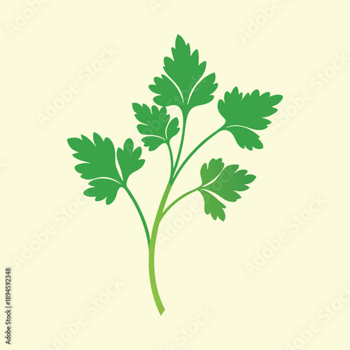 Simple parsley sprig illustration with light yellow background for culinary projects