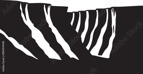 Black and white abstract zebra pattern design element closeup