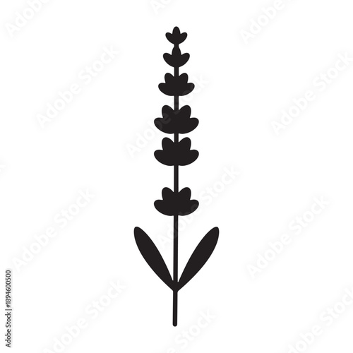 A minimalist silhouette of a lavender plant against a clean white background silhouette vector shilhoutte icon use as a symbol, web graphic design, and infographic icon