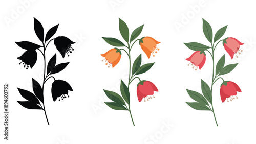 Branch of hanging bell flowers and green leaves shown in silhouette and multiple colored variations for botanical study.