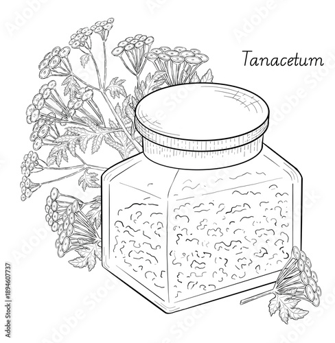 Medicinal plants for Herbal homemade organic tincture. Alternative medicine, herbal collection. Hand drawn ink style vector illustration