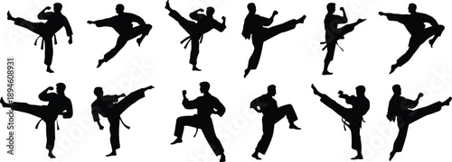 Karate fighter vector silhouettes in action poses, martial arts stance illustration, combat movement design for self-defense and sports training