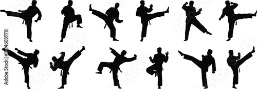 Karate martial artist silhouette collection in action poses, vector illustration for combat training, defense technique, sports education, fight design