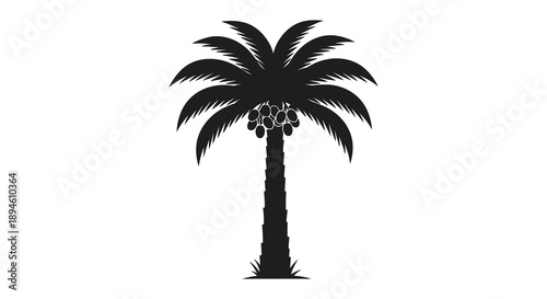 A striking black palm tree illustration with detailed fronds and a textured trunk ideal for designs on transparent background silhouette