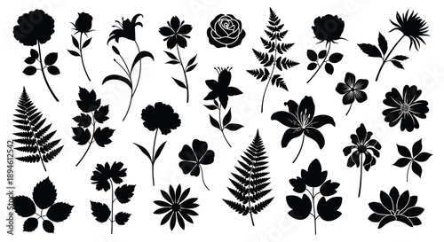 A collection of various floral and foliage silhouettes in black ideal for design projects on transparent background silhouette high quality professional
