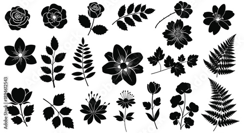 A collection of diverse floral and foliage silhouettes in black ideal for design projects on transparent background high quality professional detailed