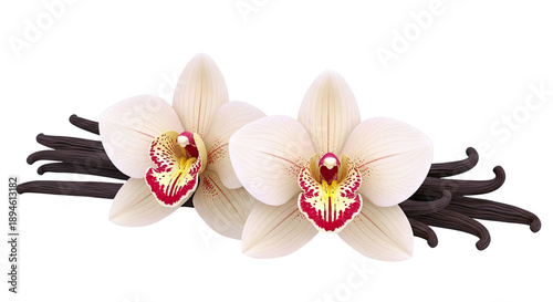 Vanilla Orchid Flowers and Pods