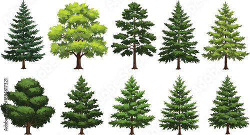 Collection of diverse green trees vector illustrations, various pine and deciduous trees, forest, nature, environment, landscape, isolated, seasonal foliage, natural beauty