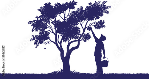 Farmer harvesting fruit silhouette illustration featuring man picking from tree with basket agriculture farming rural life solid blue vector scene design