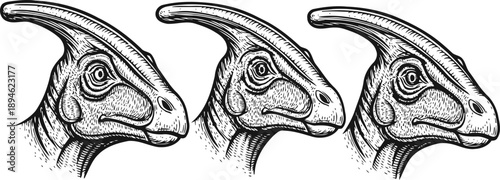 hand drawn parasaurolophus dinosaur heads set vintage prehistoric reptile sketches collection