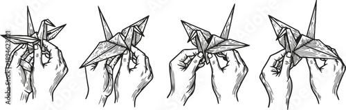Step by step illustration of hands folding an origami crane from paper, detailed drawing set