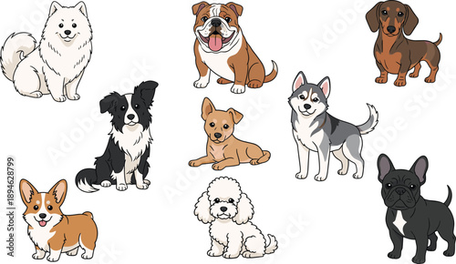 Chihuahua Dog Breed Portrait Collection Featuring Various Coat Colors Including Tan Brown and Black in Different Standing and Sitting Poses