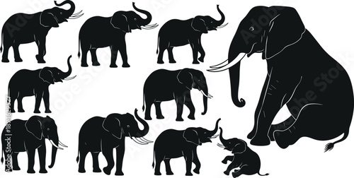 Elephant silhouettes collection, wildlife animal set, African mammal shapes, black elephant family illustration, isolated nature icons on white background design