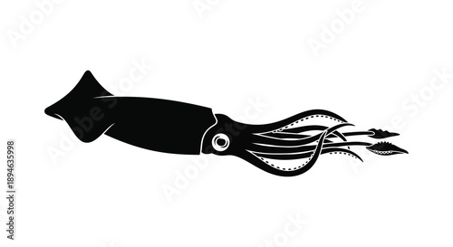 A striking black squid illustration with detailed tentacles and a large eye perfect for design use on transparent background silhouette