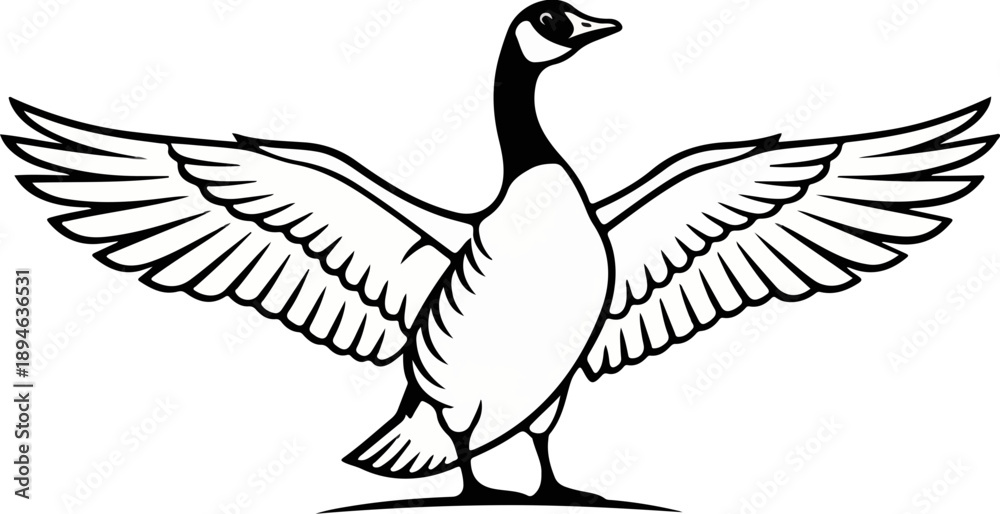 Fototapeta premium Canada Goose Wings Spread