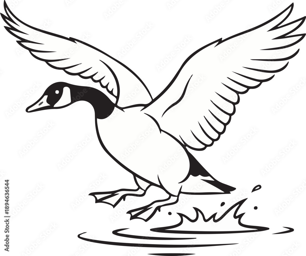 Obraz premium Canada Goose Landing Illustration